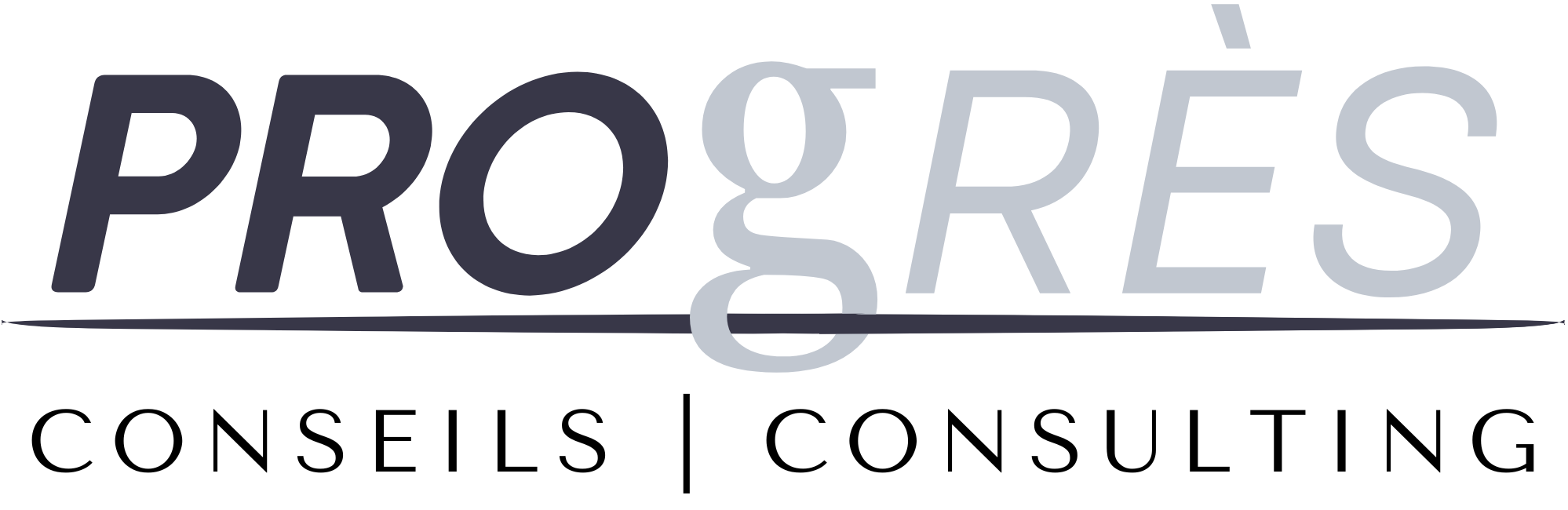 Progres Go Progrès Conseils - Consultant PME - Performance et RS&DE